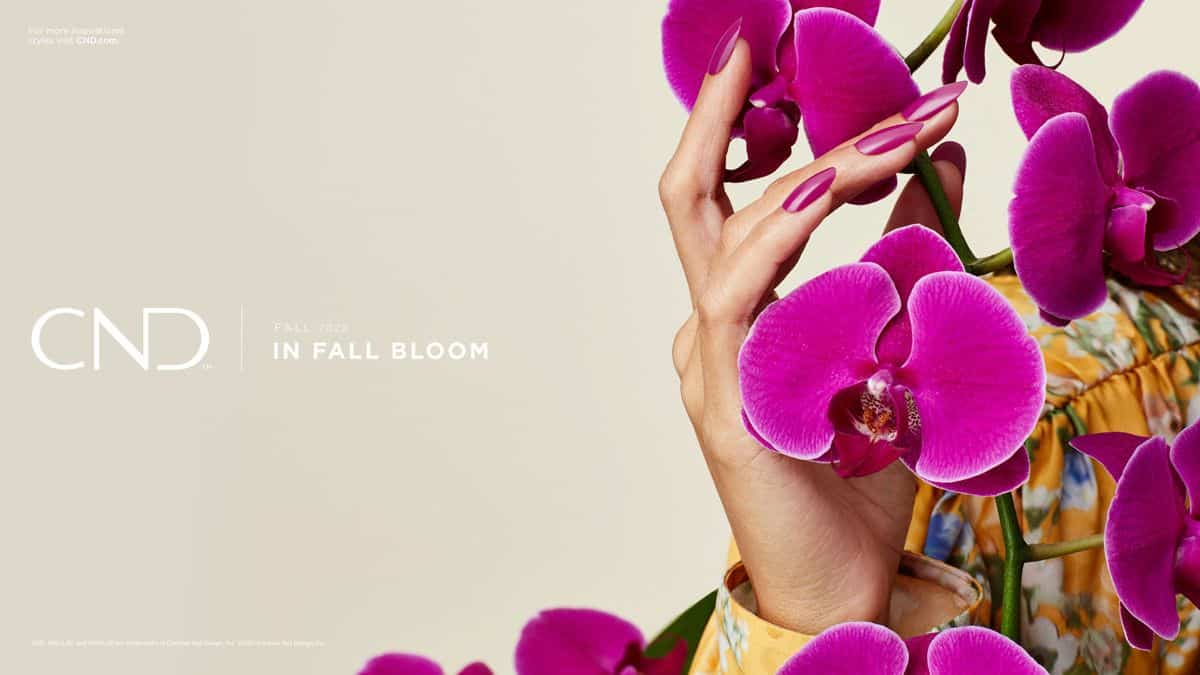 A CND-2022-Fall-InFallBloom-Collection-27