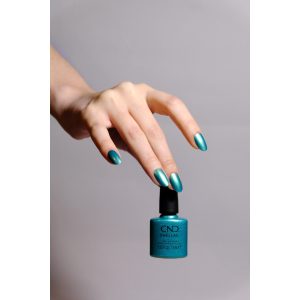 442152_Clash Out DSCF5550 Shellac