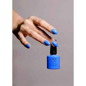 442153_Motely Blue DSCF5483_shellac_r