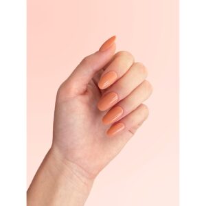 449159_CND-2024-HANDS-PLEXIGEL-COLORBUILDER-PEACHMOONSTONE